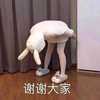 打一下给个甜枣