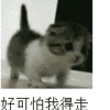 打倒蝙蝠